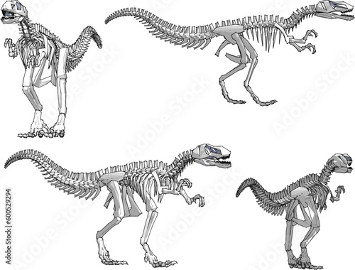 Vector illustration of ancient dinosaur skeleton cartoon illustration © nur