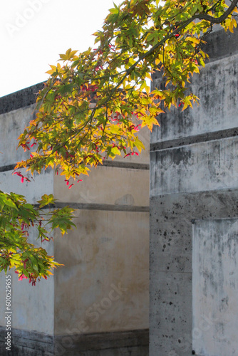 Brion Cemetery, in Italy designed by Carlo Scarpa photo