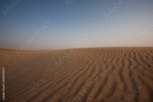 sand dunes in the desert