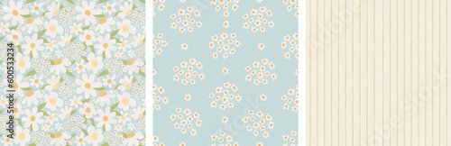 set of delicate floral patterns. chamomile, wildflowers, stripes in pastel colors. seamless pattern for fabric and interior poster