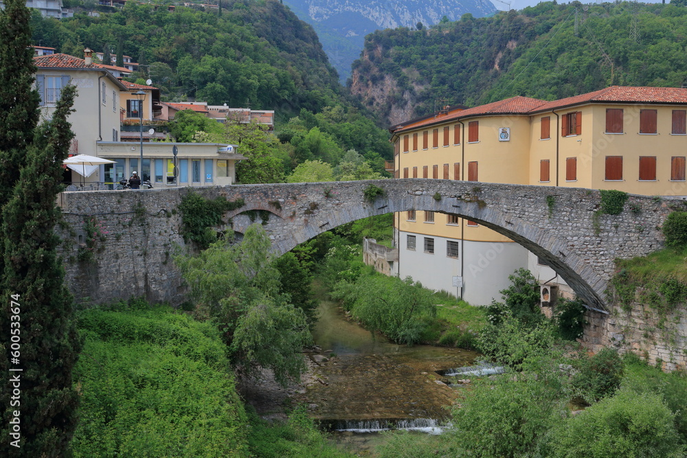 An ancient arched bridge on a mountain river flowing out of a gorge. Houses against the backdrop of the forest are visible from behind the bridge.
