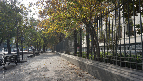 autumn in the city