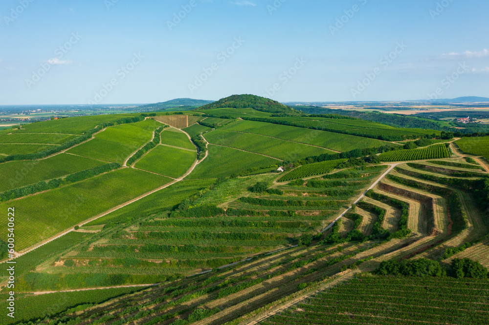 Aerial view about famous vineyards of Hungary at Villany wine region. Hungarian name is Ordogarok.