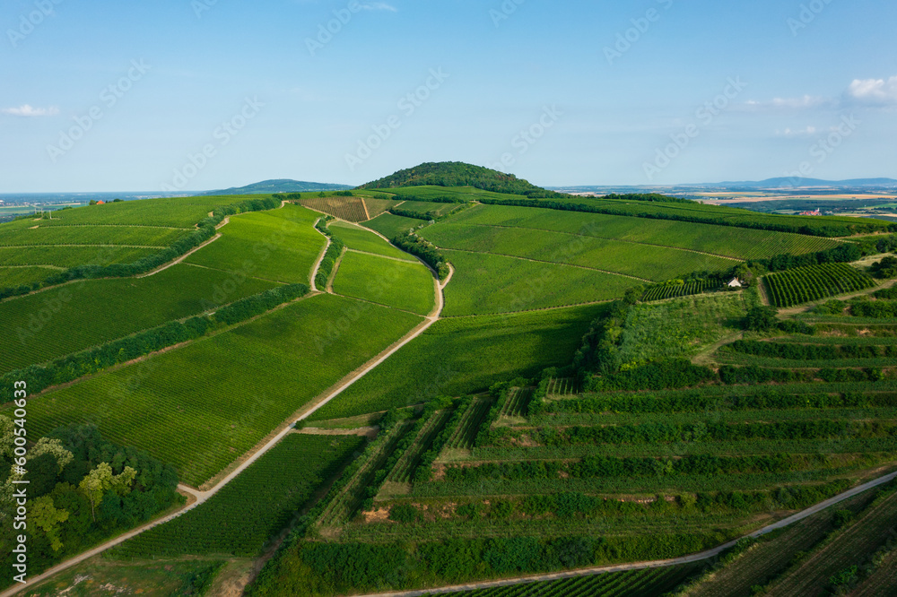 Aerial view about famous vineyards of Hungary at Villany wine region. Hungarian name is Ordogarok.