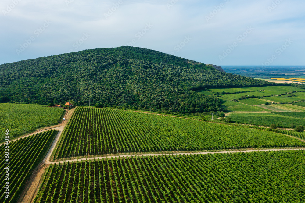 Aerial view about famous vineyards of Hungary at Villany wine region. Hungarian name is Ordogarok.