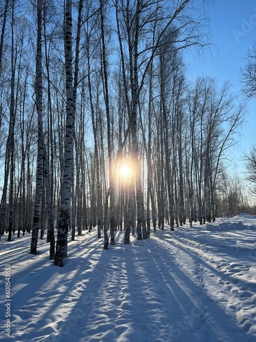 winter in the park © Оксана Егорова