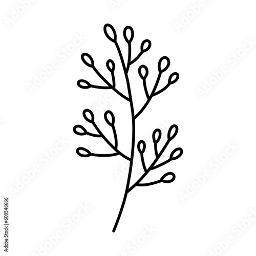 Cute branch with berries isolated on white background. Vector hand-drawn illustration in doodle style. Perfect for cards  logo  decorations  various designs. Botanical clipart.