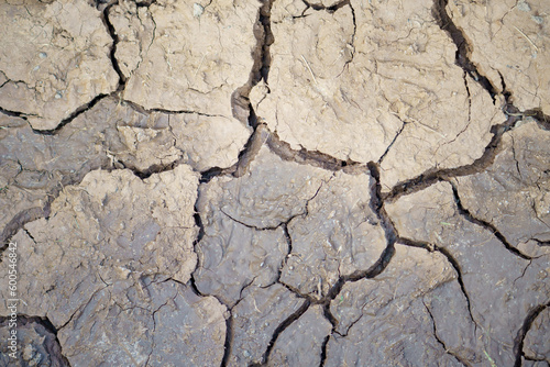 The soil cracked due to dryness. Creative cracks in the ground. Illustration of the apocalypse.