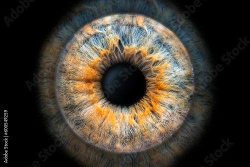 spectacular close-up (macro photo) of the iris of a two-colored eye, ideal for background or texture