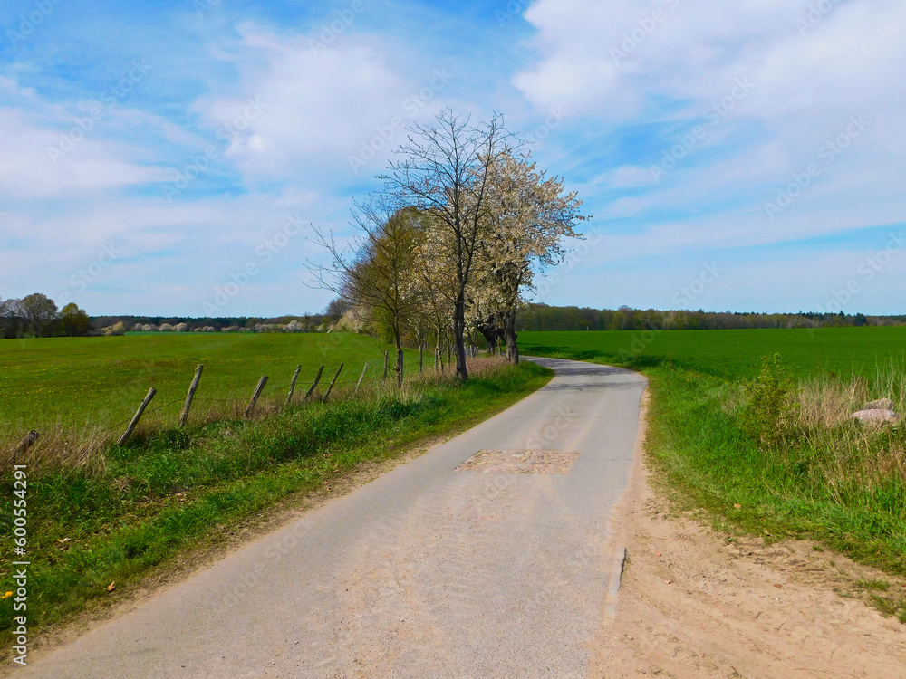 Fototapeta premium Die schönen Naturlandschaft der Uckermark