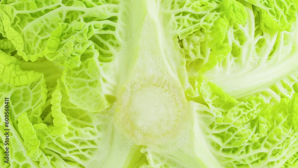 Savoy cabbage corrugated structure green, lower part, rotating, turning, close-up macro
Savoy cabbage corrugated structure green, lower part, rotating, turning, close-up macro