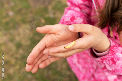 The girl's hands fearlessly hold a bee larva insect for fishing. Outdoor recreation with children, active leisure. Spending time with children in nature. Close-up, copy space