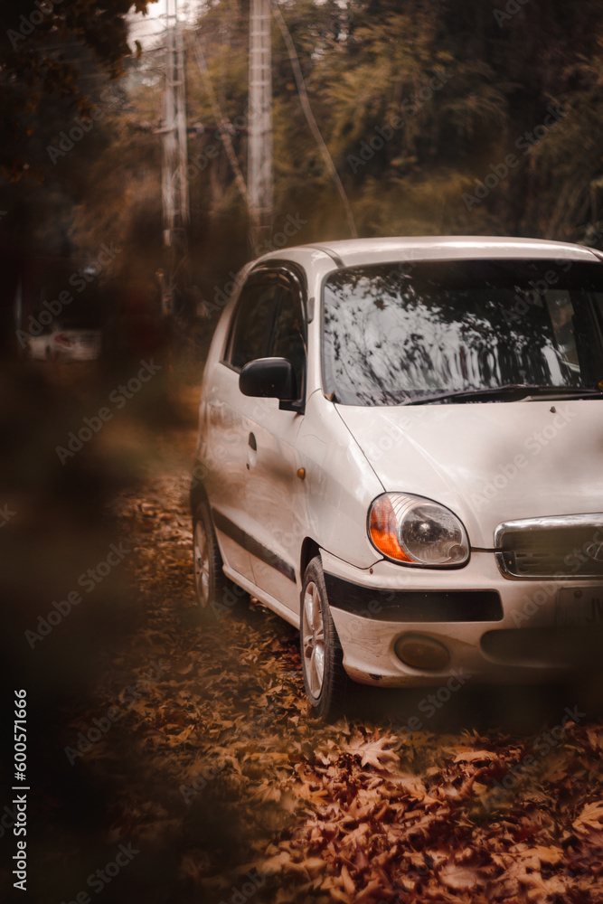 White car parked in forest in autumn