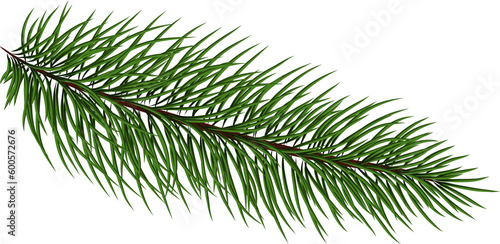 Christmas tree branches for a Christmas decor. Branches close-up.  Drawing. Nature details. fir branches. Fir tree branches for decoration. Drawing. 