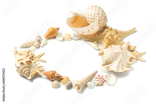 Frame made of seashells and starfishes on white background