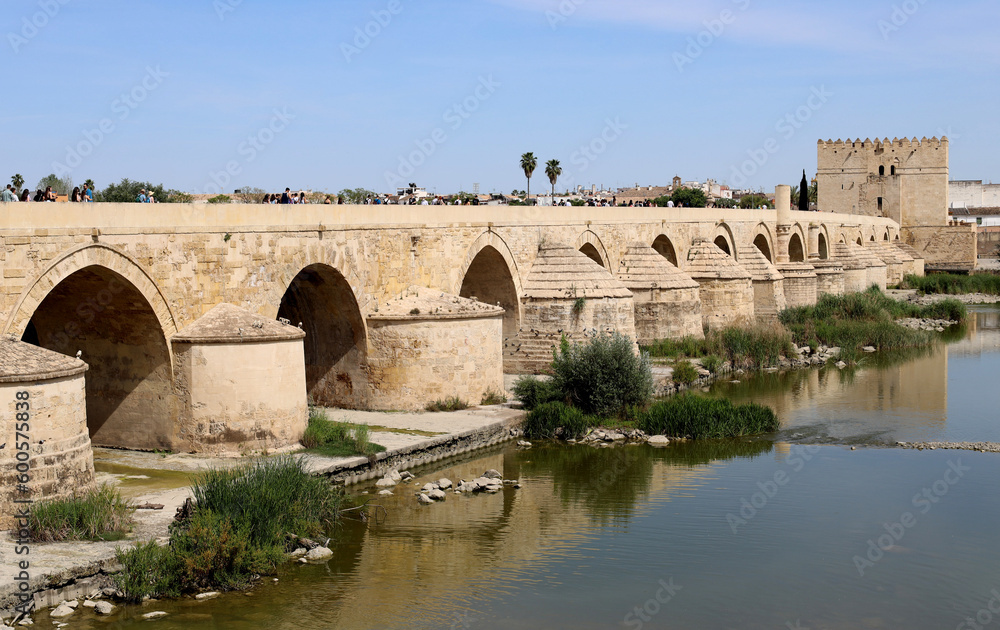 Busy with tourists Roman Bridge or Puente Romano in Cordoba Spain