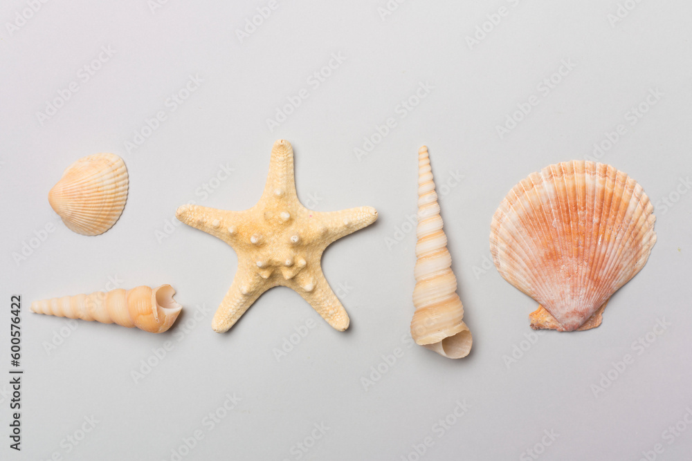Obraz premium Sea shells on color background, top view