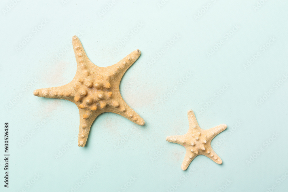 Starfishes on color background, top view Starfishes on color background, top view