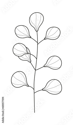 Plant branch, leaf doodle vector. Vintage hand drawn tree branches with leaves and flowers. © passionart