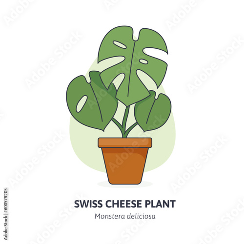 Houseplant Monstera deliciosa (Swiss Cheese Plant) on a flower pot. Vector isolated on transparent background with editable stroke. 