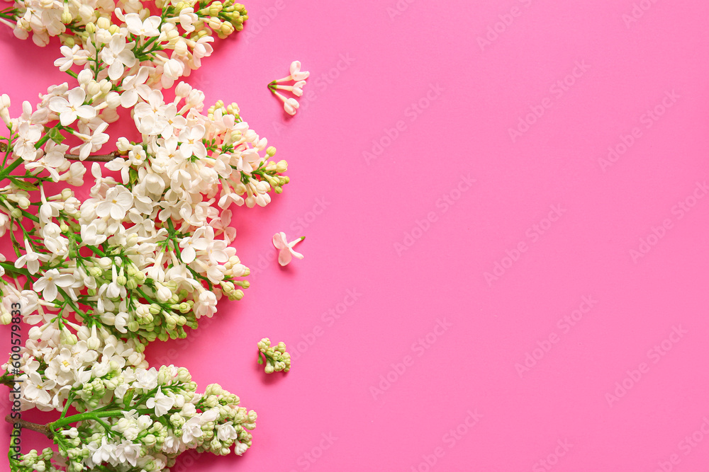 Blooming lilac flowers on pink background Blooming lilac flowers on pink background