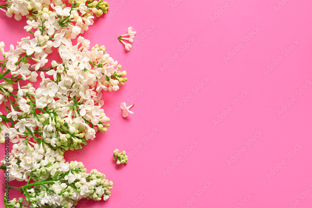 Blooming lilac flowers on pink background