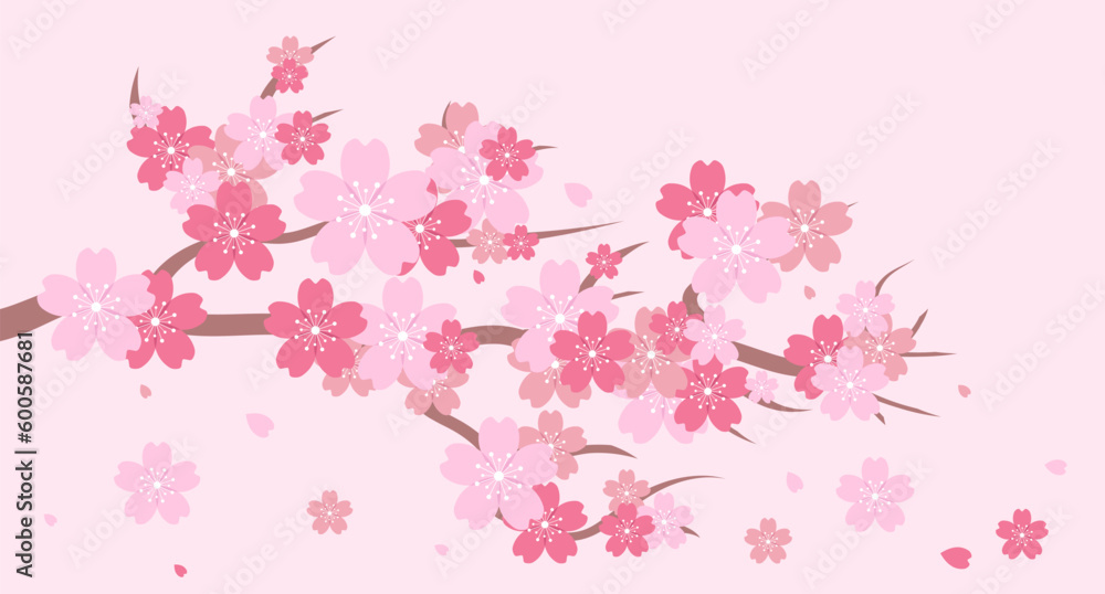 Sakura blossom branch. Cherry blossom branch. Cherry blossom with pink sakura. Pink sakura flower background. Falling petals. Vector illustration