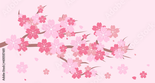 Sakura blossom branch. Cherry blossom branch. Cherry blossom with pink sakura. Pink sakura flower background. Falling petals. Vector illustration