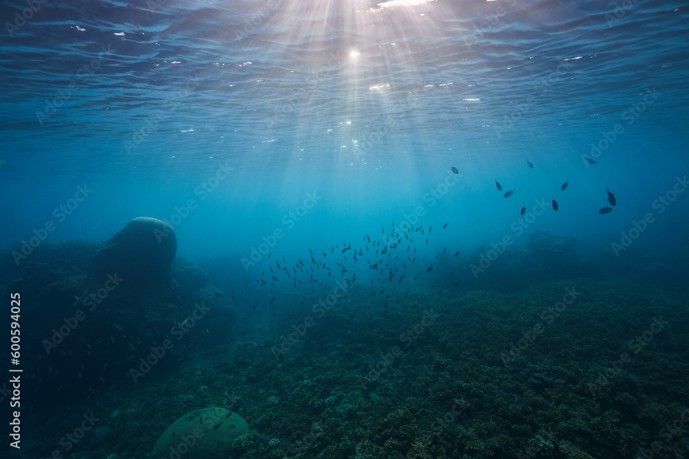 underwater landscape blue sea stones fish and waves