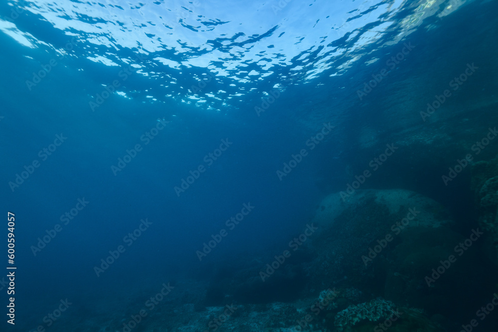 underwater view of the world