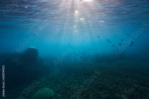 underwater landscape blue sea stones fish and waves © Pavel Karchevskii