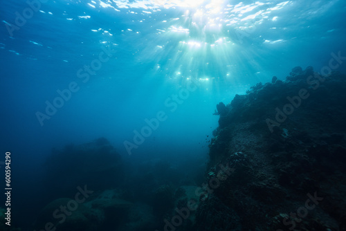 underwater photography of a coral reef with rocks and sun rays underwater