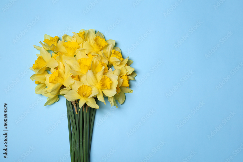 Bouquet of beautiful yellow daffodils on light blue background, top view. Space for text