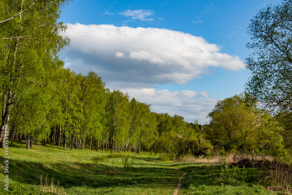 Colorful green landscape with a large cloud floating across the sky Colorful green landscape with a large cloud floating across the sky