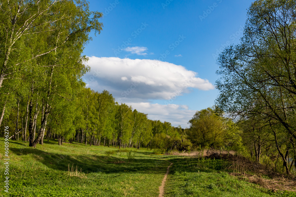 Colorful green landscape with a large cloud floating across the sky