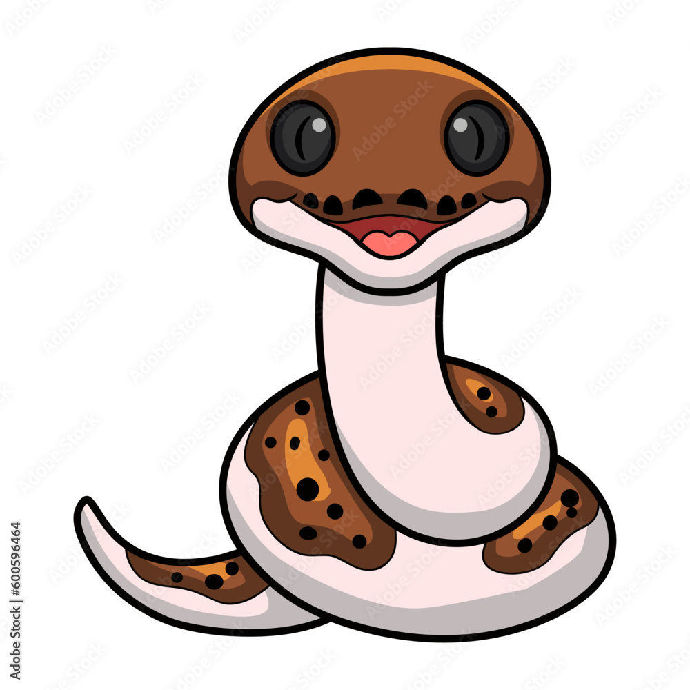 Cute pied reticulated python cartoon