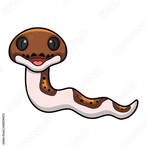 Cute pied reticulated python cartoon