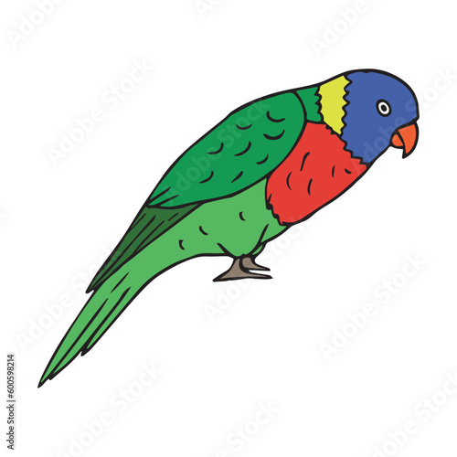 Vector hand drawn doodle sketch colored lory parrot isolated on white background