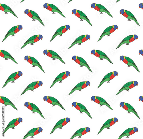 Vector seamless pattern of hand drawn doodle sketch colored lory parrot isolated on white background