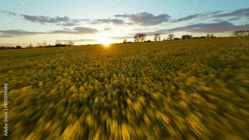 The drone flies low over a field of rapeseed, heading towards the setting sun. Bathed in golden light, which paints a picturesque landscape in the sky, the machine gradually lifts into the air.