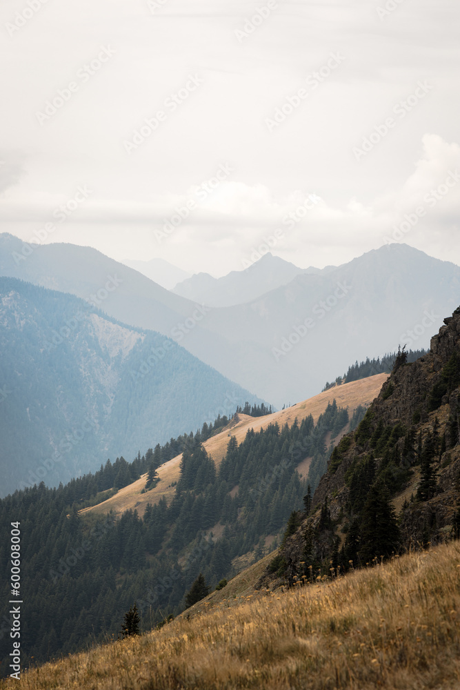 Naklejka premium Blue ridge ridge mountain layers with clouds in distance and trees on hills and meadows in foreground in Olympic National Park Hurricane Ridge in Washington state.