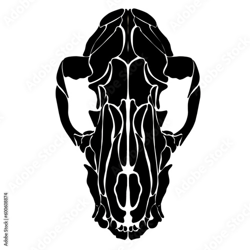 silhouette ferret skull