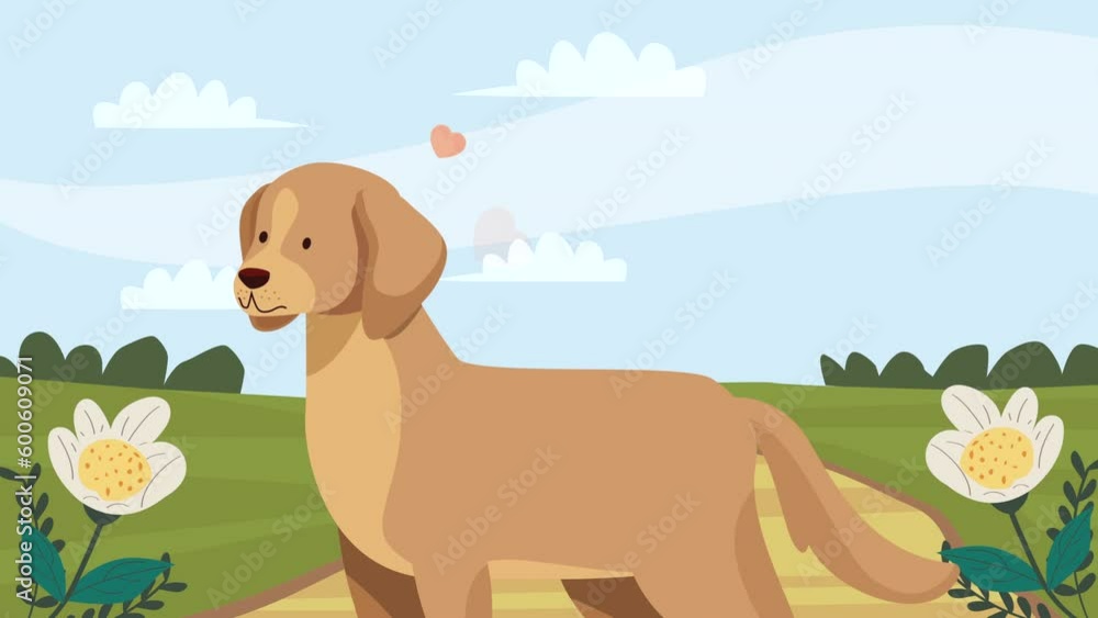 golden retriever dog mascot animation golden retriever dog mascot animation