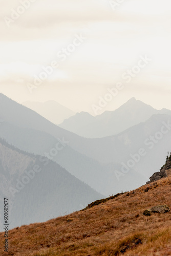 Wavey ridge lines of varying mountain ranges are contrasted by the one in front creating depth and texture in Olympic National Park at Hurricane Ridge. photo