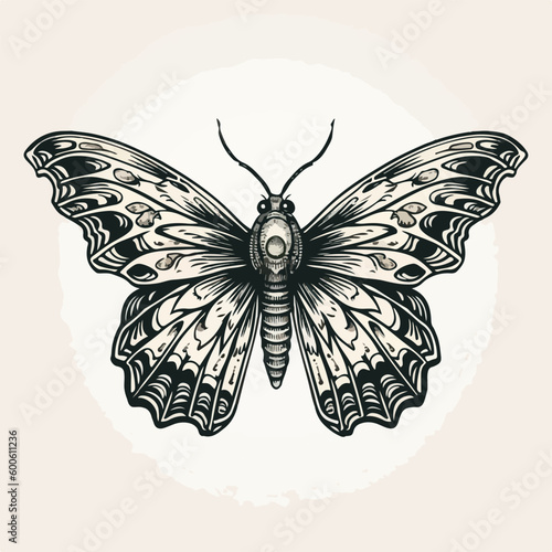 beautiful butterfly vintage badge logo tattoo vector illustration