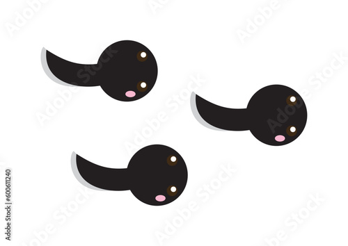 ３匹のおたまじゃくし
