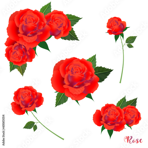 Vector red rose flower for various festivals, backgrounds, cards, etc.