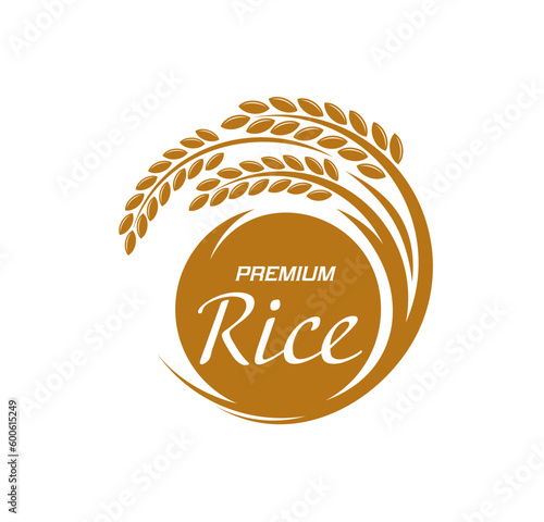 Rice icon, grain food plant and organic natural agriculture vector symbol. Rice product package label with rice ear or stalk, sign for farm market, grocery store and premium quality rice product