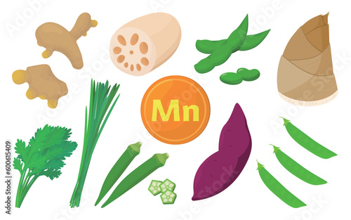 Vector illustration of vegetables containing manganese.