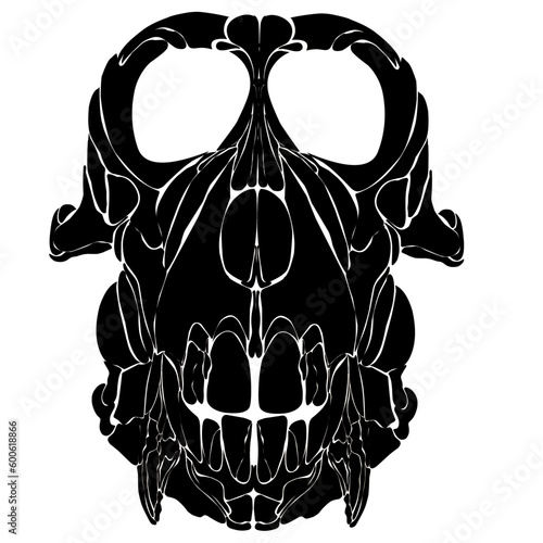 ape skull silhouette
